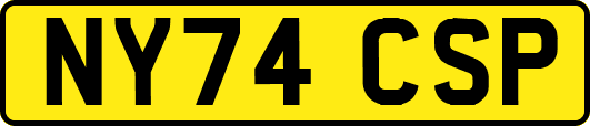 NY74CSP