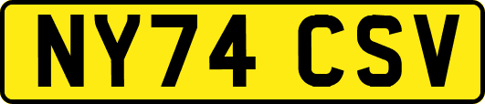 NY74CSV