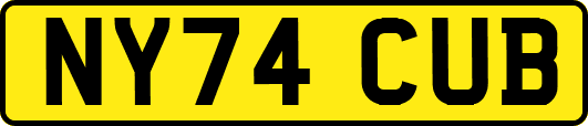 NY74CUB