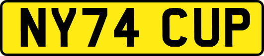 NY74CUP