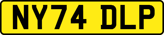 NY74DLP
