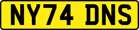 NY74DNS