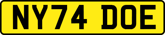 NY74DOE
