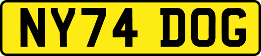 NY74DOG
