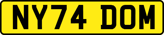 NY74DOM
