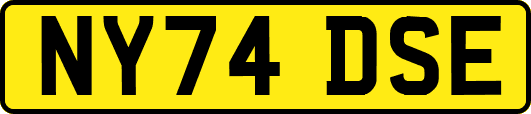 NY74DSE