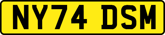 NY74DSM