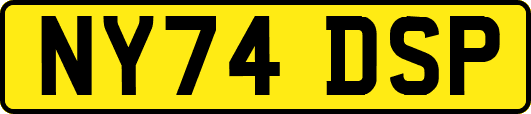 NY74DSP