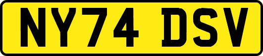 NY74DSV