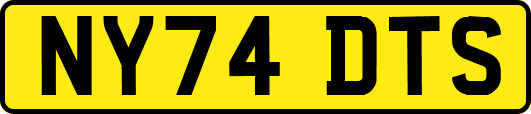 NY74DTS