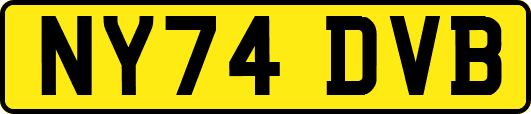 NY74DVB