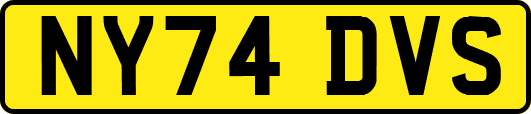NY74DVS