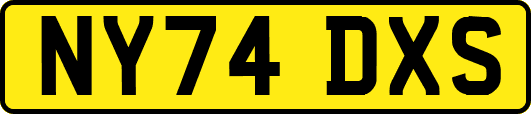 NY74DXS