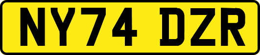 NY74DZR