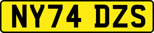 NY74DZS