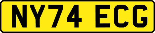 NY74ECG