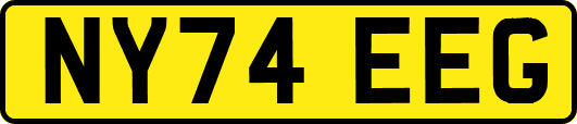 NY74EEG