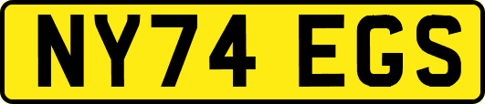NY74EGS