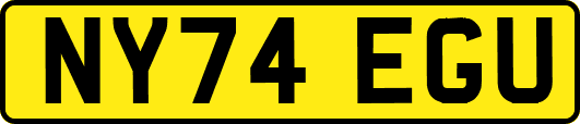 NY74EGU