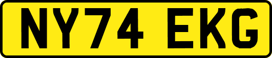 NY74EKG