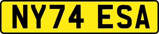 NY74ESA