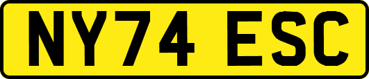 NY74ESC