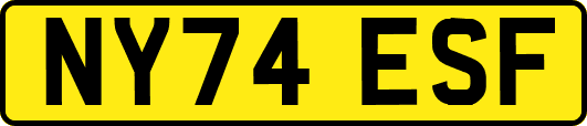 NY74ESF