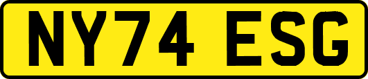 NY74ESG