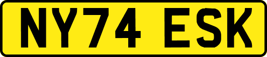 NY74ESK