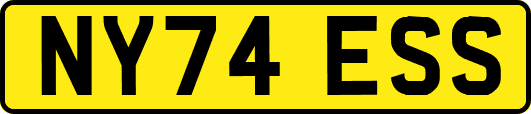 NY74ESS
