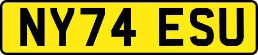 NY74ESU