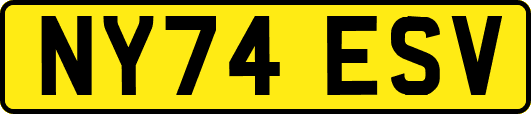 NY74ESV