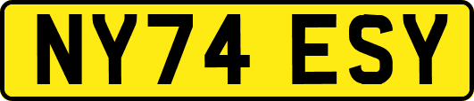 NY74ESY