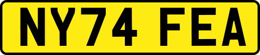 NY74FEA