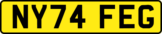 NY74FEG