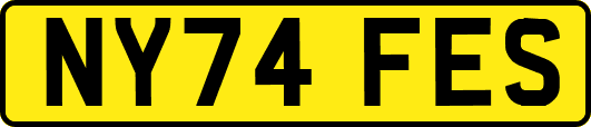 NY74FES