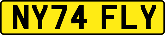 NY74FLY