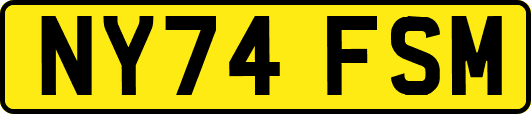 NY74FSM