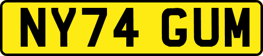 NY74GUM