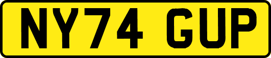 NY74GUP