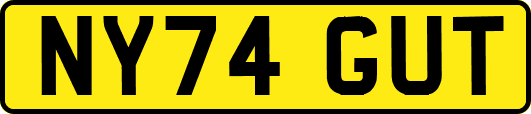 NY74GUT