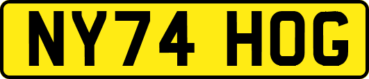 NY74HOG