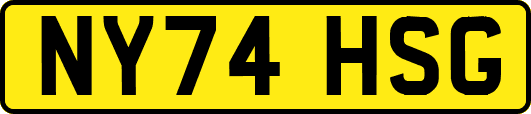 NY74HSG