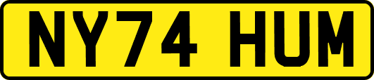 NY74HUM