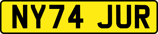 NY74JUR