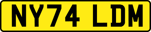 NY74LDM