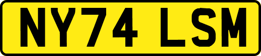 NY74LSM