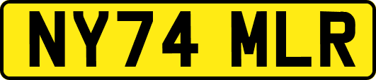 NY74MLR