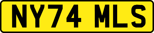 NY74MLS