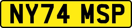 NY74MSP